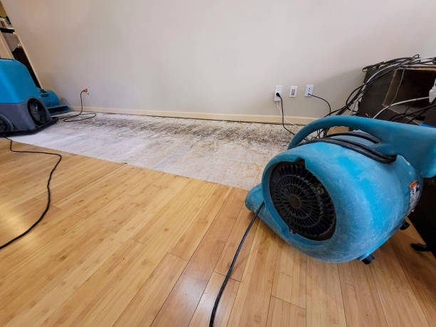 Professional Water Damage Repair technician working in Snow Hill, NC